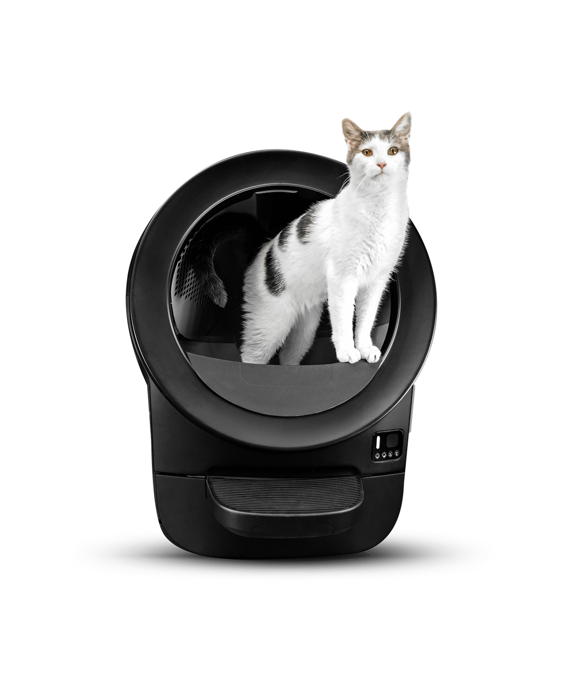 i and love and you wet cat food I and Love and You Grain Free Whascally Rabbit Recipe Canned Cat Food –  Petsense