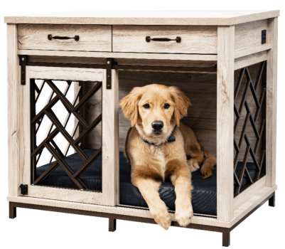 Barn Door Dog Crate