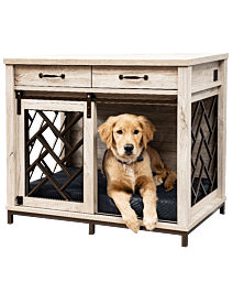 Golden Retriever sitting insider barn door dog crate
