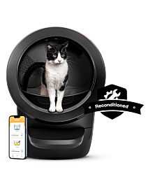 Black and white cat in the Litter-Robot 4 Reconditioned