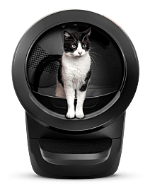w.com - cat using Litter-Robot 4