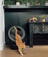 Black Litter-Robot 5 self cleaning litter box with orange cat thumbnail