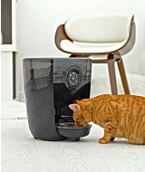 new Glass Bowl on black Feeder-Robot automatic pet feeder thumbnail