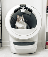cat inside Litter-Robot 4 white equipped with camera mount thumbnail