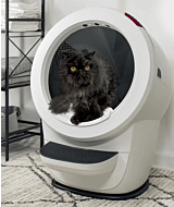 cat in White Litter-Robot 4 resting on the Carpet Tray accessory  thumbnail