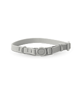 Cat Collar Image