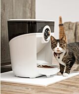 Whisker.com tabby cat with Feeder-Robot  thumbnail