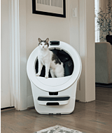 Litter-Robot 5 Pro tuxedo cat
 thumbnail