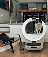 Whisker.com tuxedo cat using Litter-Robot 5 Pro thumbnail