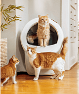 Whisker.com multiple cats with Litter-Robot 4 thumbnail