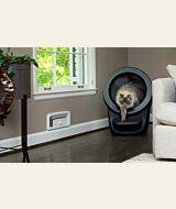 Siberian cat using Litter-Robot 4 with step thumbnail