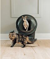 Sphynx cat exiting Litter-Robot 4 with shield thumbnail