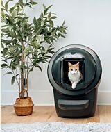 Cat inside black Litter-Robot 4 automatic litter box with shield thumbnail