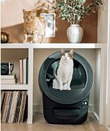 Litter-Robot EVO in a house with two cats in the picture, one in the Litter-Robot EVO, and one near it. thumbnail