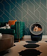 Cat using Litter-Robot 5 Pro self cleaning litter box with PetTag and cat collar thumbnail