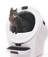 Cat using Litter-Robot 5 Pro self cleaning litter box with PetTag and cat collar thumbnail