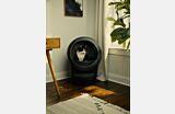 EU-UK cat using black Litter-Robot 4 in small home Thumbnail