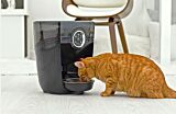 Cat eating from Feeder-Robot Thumbnail
