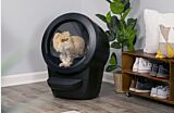 Persian cat using Litter-Robot 4 Thumbnail