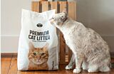 20 pound bag of premium cat litter next to grey cat Thumbnail