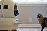 Cat looking at Litter-Robot 2 with Fence Thumbnail