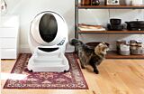 Fluffy multicolored cat walking near a Litter-Robot 3 Connect with ramp installed Thumbnail