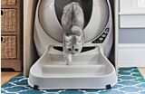 Grey cat exiting a Litter Robot 3 using the ramp Thumbnail