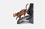 Spotted cat exiting a Litter Robot 3 using the ramp - side view Thumbnail