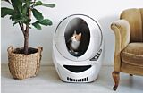 Orange cat inside a Litter Robot 3 Connect - peering out of the entry Thumbnail