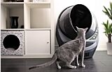 Elderly gray cat about to enter a Litter Robot 3 Connect Thumbnail