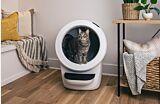 tabby cat inside white Litter-Robot 4 Thumbnail