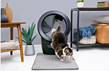 Tabby cat exiting Litter-Robot 4 onto Litter-Robot Litter Trap Mat Thumbnail