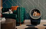 cats wearing Whisker Cat Collars with Litter-Robot 5 Pro Thumbnail