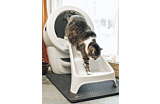 tabby cat exiting Litter-Robot 4 Thumbnail