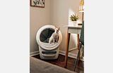 EU-UK cat using white Litter-Robot 4 in small home Thumbnail