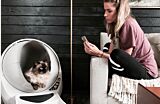 Woman on app next to Litter-Robot with Ragdoll cat inside Thumbnail