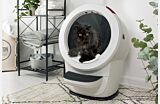 Persian cat using Litter-Robot 4 on Carpet Tray Thumbnail