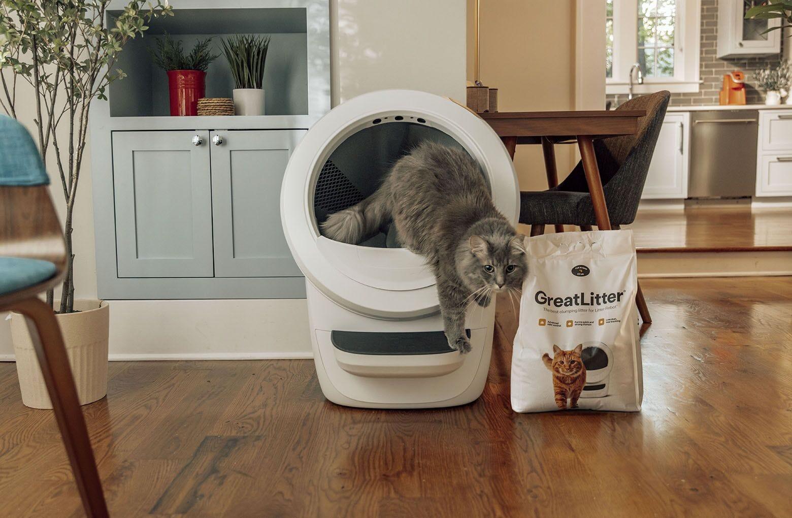 GreatLitter: Low-Dust, Low-Tracking Cat Litter