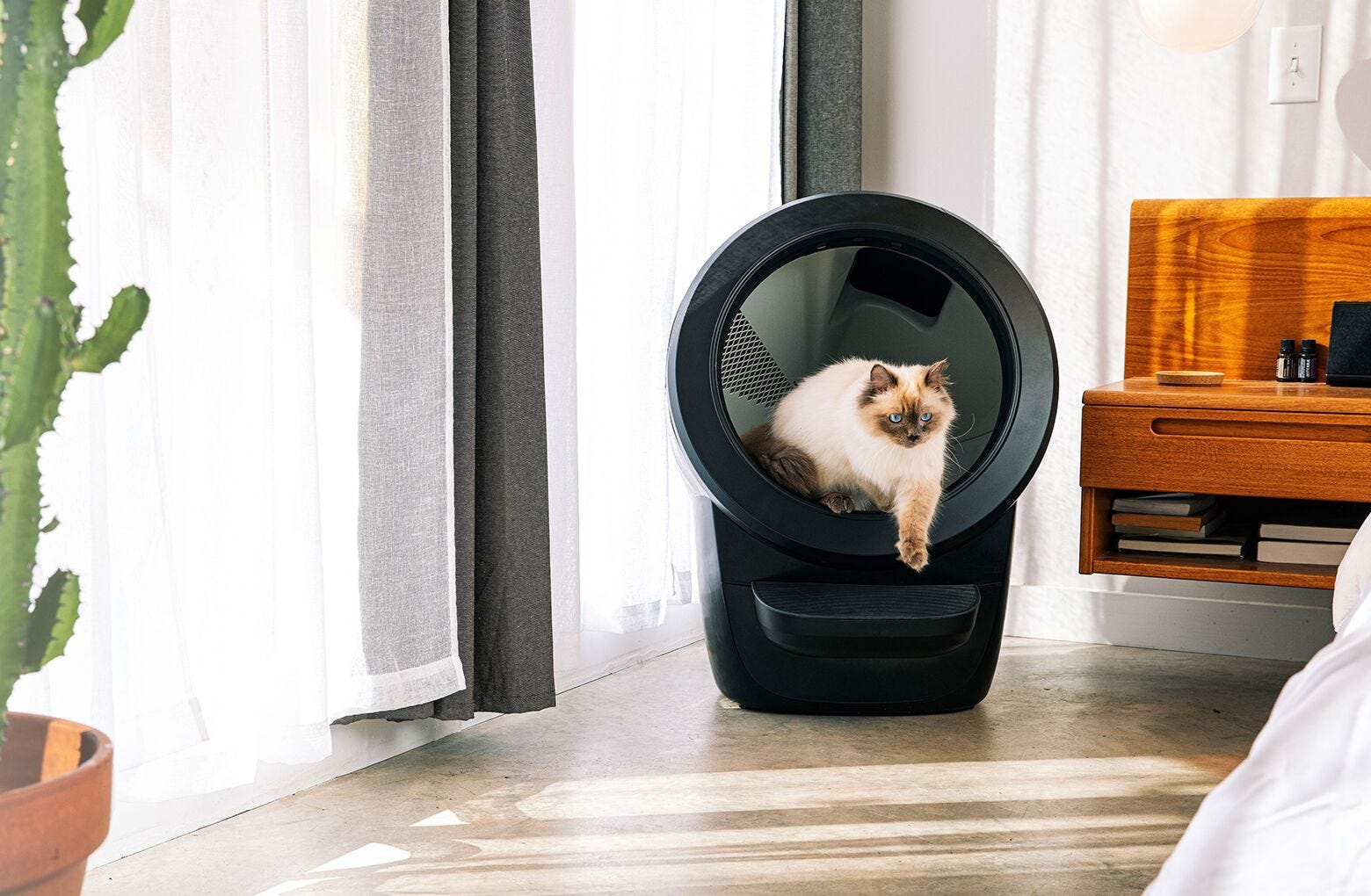 Litter-Robot 4 liti&egrave;re autonettoyante noir avec chat