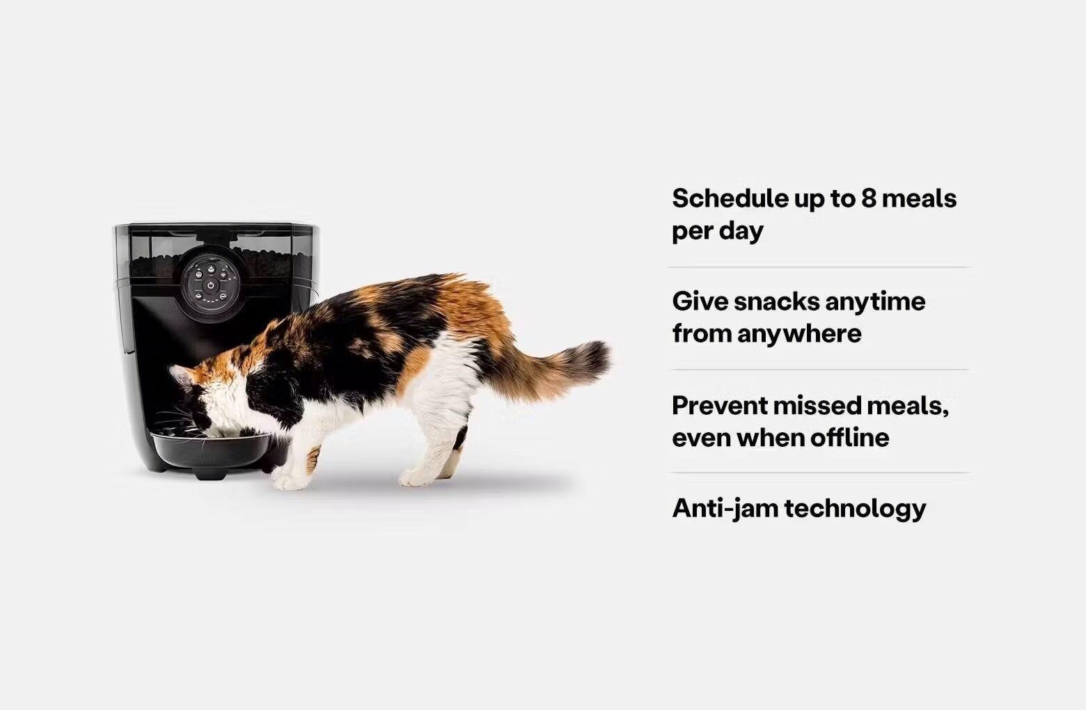 Multicolored cat eating from a white feeder robot