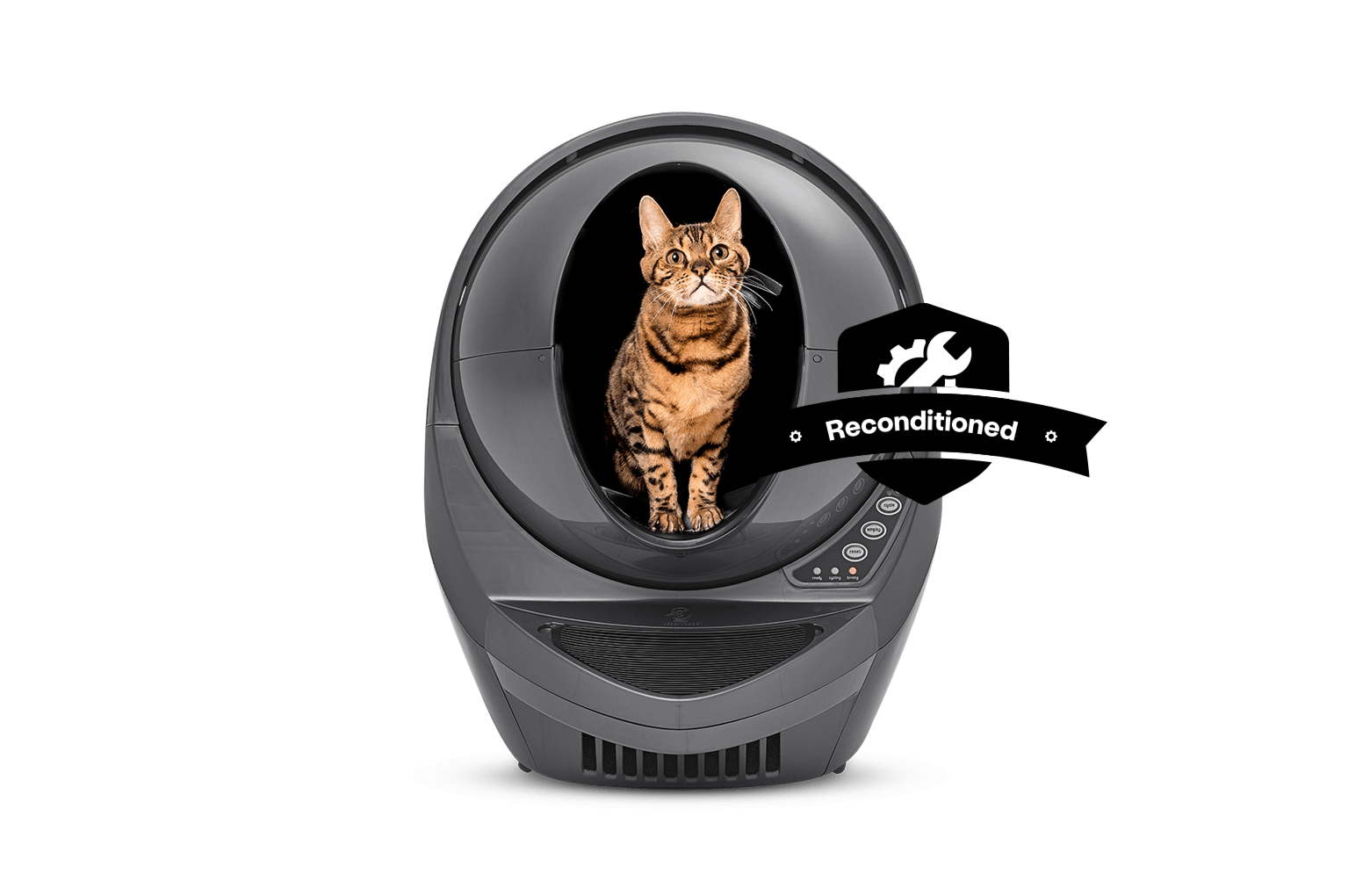 bengal cat inside grey Litter-Robot 3 Connect reconditioned