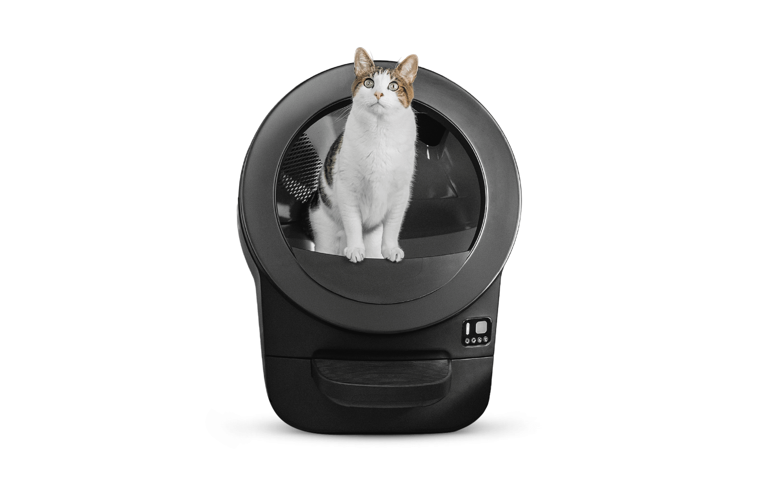 Litter-Robot.com Litter-Robot EVO in black - tabby cat