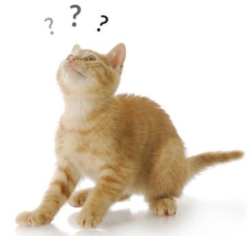 Questions Litter Robot