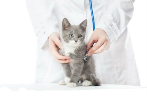 Vet 2 Litter Robot