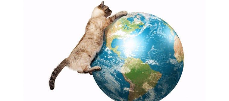 Litter-Robot Celebrates Earth Day