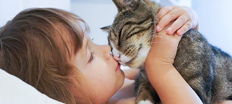 How To Acclimate Your New Cat To Your Kids
