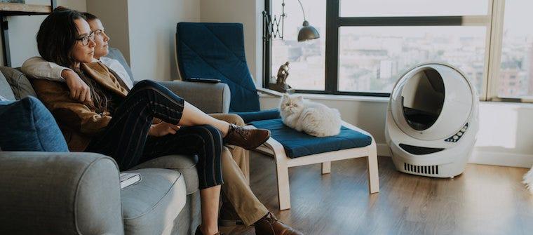 15 Movies To Watch With Your Cat Right Meow