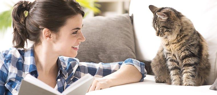 Most Popular Cat Names
