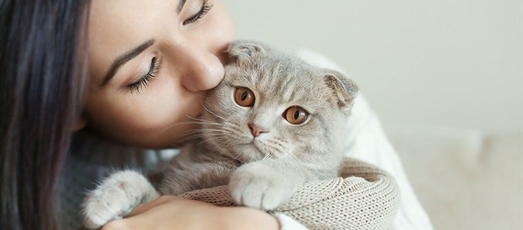 pet sitter taking care of a cat