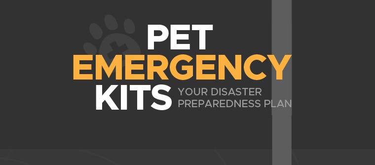 How To Make A Disaster Preparedness Plan For Your Pets